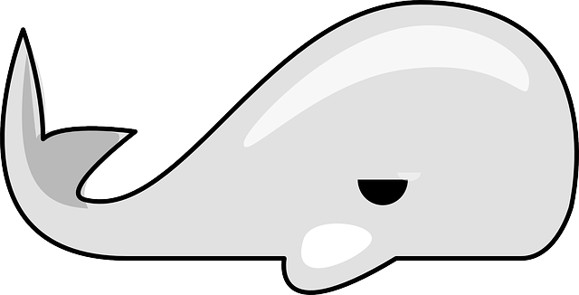 White Whale
